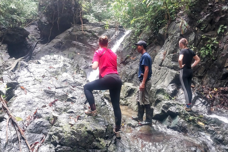 Ujung Kulon National Park: Eco Jungle Treks w/Green Anda's