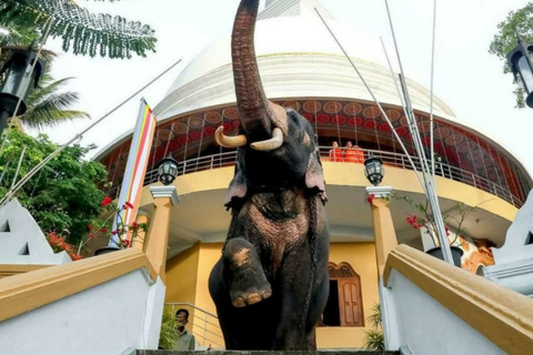 Kandy city tour and village tour in one day