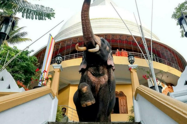 Kandy city tour and village tour in one day