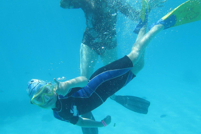 Wyspa Mnemba: półdniowa wycieczka łodzią z pływaniem z delfinami i nurkowaniem z rurkąPrywatna wyspa Mnemba – nurkowanie z rurką i pływanie z delfinami