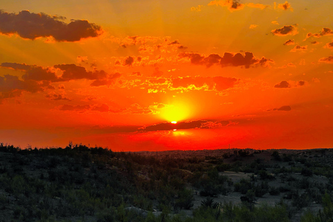 From Bukhara/Samarkand: 2-Day Aydarkul Lake & Yurt Camp Tour Private tour to Aydar Lake & Yurt from Bukhara to samarkand