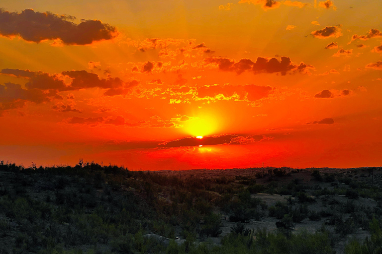 From Bukhara/Samarkand: 2-Day Aydarkul Lake & Yurt Camp Tour Private tour to Aydar Lake & Yurt from Bukhara to samarkand