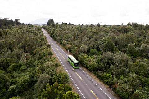 New Zealand: National Hop-On Hop-Off Pass Kea