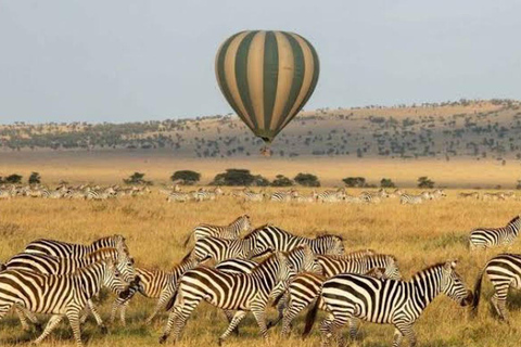 Safari Serenity: Utforska Tarangire nationalpark på en dag