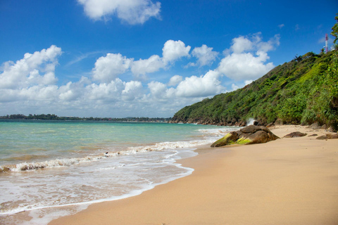 Sri Lanka: 10-Day Luxury Honeymoon with Hotels & Transfers