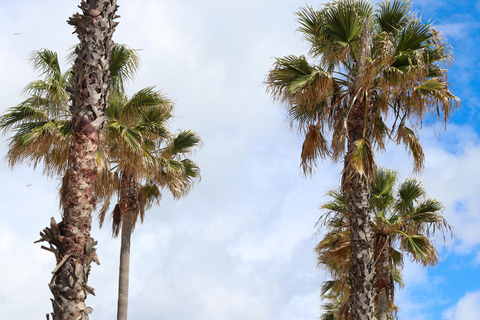 Albufeira: 1-Hour Tuk Tuk Tour Summer Schedule