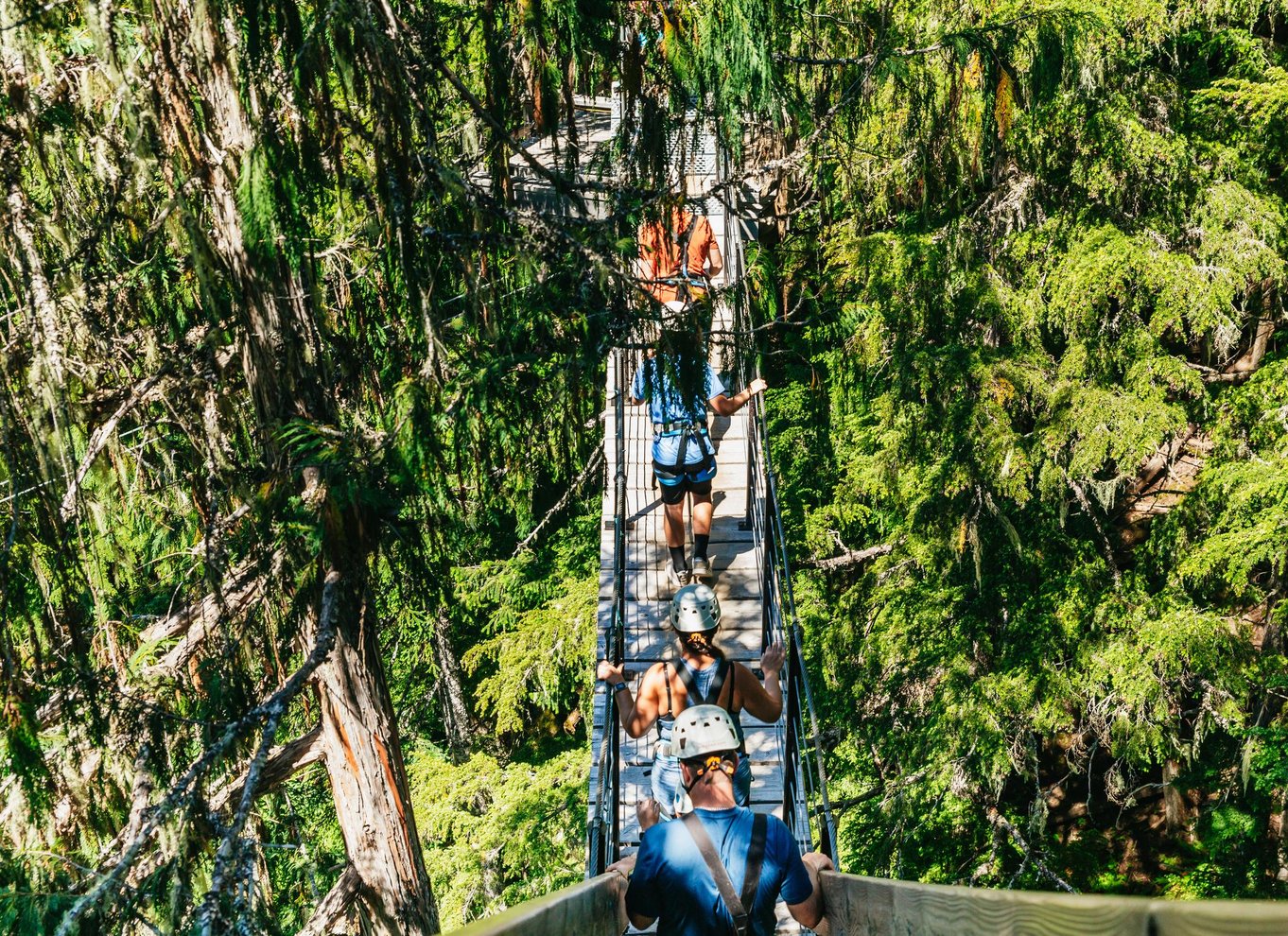 Whistler: Ziplining-oplevelse