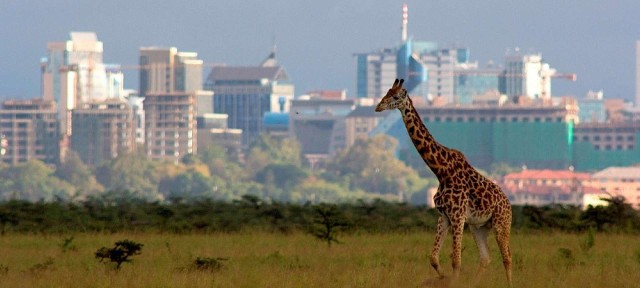4- Hours Nairobi national park Morning Game drive
