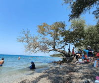 Turkish Breakfast, Zeus Cave, Swimming in the Nationel Park - Housity