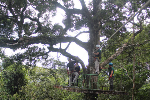 San Jose: Zipline + Canyoning + Transportation + Lunch Combo