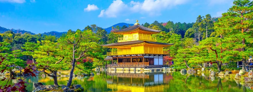 Visite d'une journée personnalisée à Kyoto avec un guide local