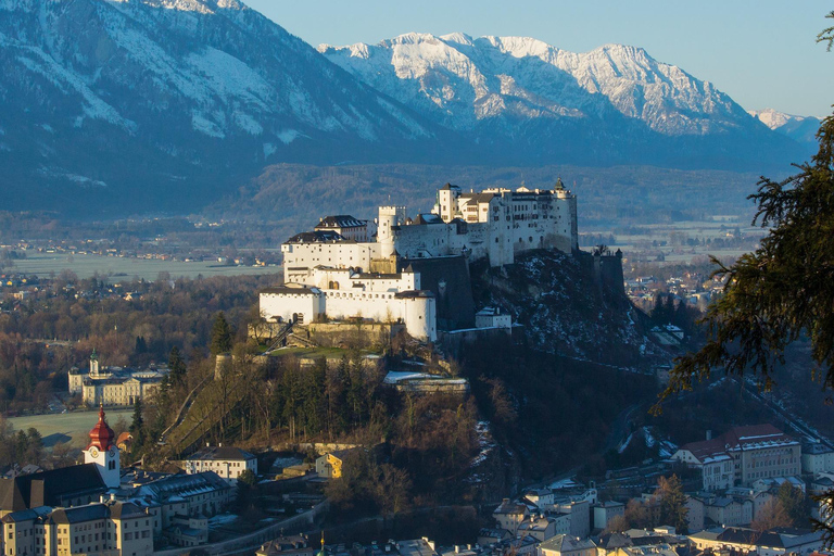 Vanuit Wenen: Hallstatt met Skywalk lift &amp; Salzburg dagexcursieWenen: Hallstatt &amp; Skywalk lift met verborgen juweeltjes Tour