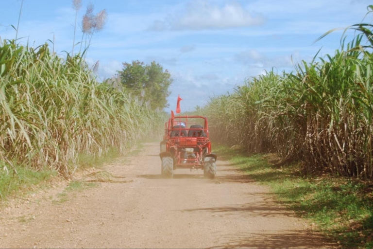 Von Punta Cana oder La Romana: Zuckerrohrfelder Buggy oder QuadVon Punta Cana oder Bávaro