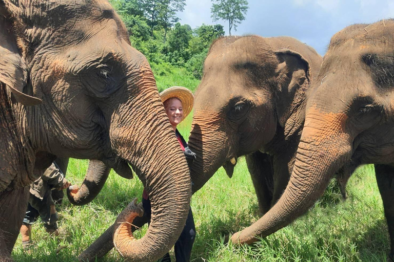 Rantong elephant sanctuary Chiangmai