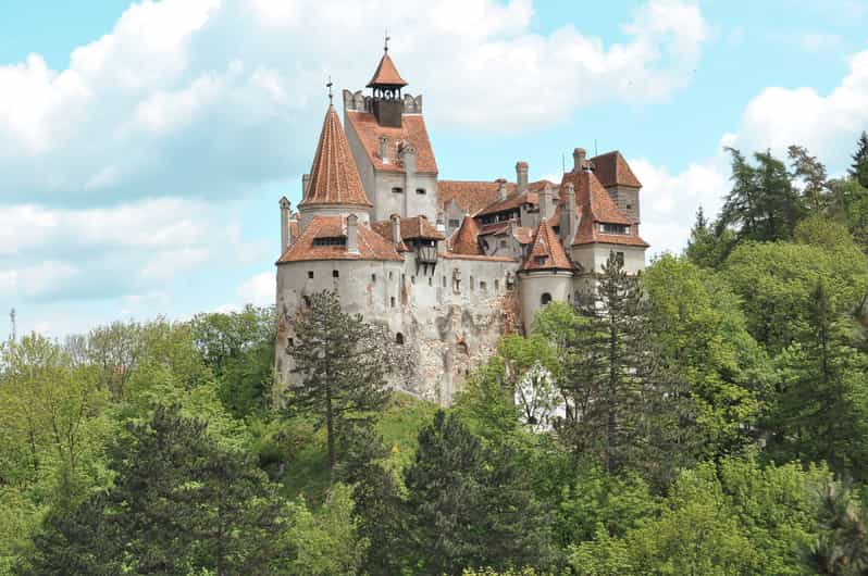 From Bucharest Peles Bran Castle Old Town Brasov Tour Getyourguide