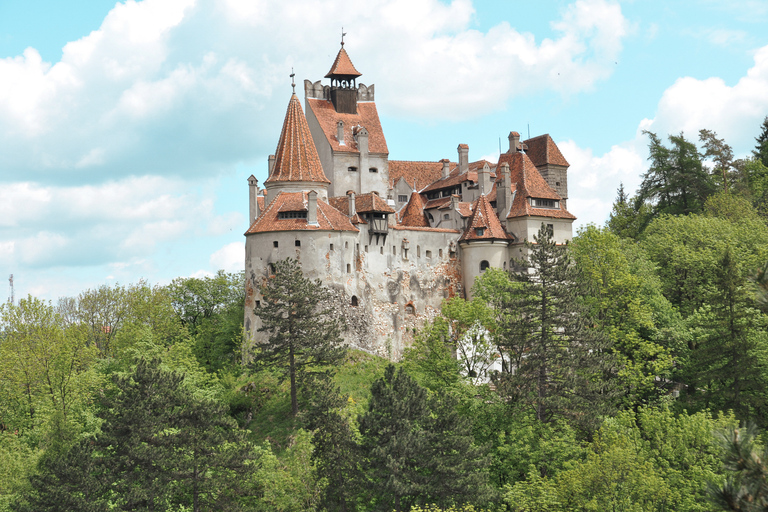 Bukarest: Draculas slott, Peles slott och Brasovs gamla stad