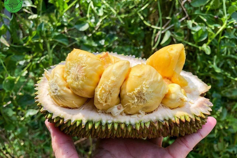 From Ho Chi Minh City: 2-Day Cat Tien National Park Tour