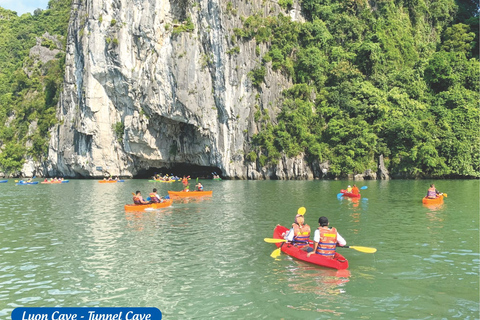 Ha Noi: Crucero de 1 día por la Bahía de Ha Long / Cueva, Isla Titop, KayakHanoi: Crucero de 1 día por la Bahía de Ha Long / Cueva, Isla Titop, Kayak