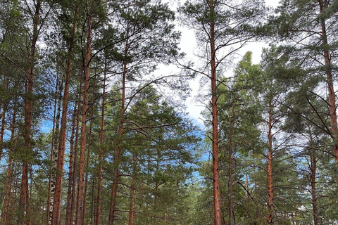 Paisagens da Letônia: Tour guiado por Kemeri e Jurmala