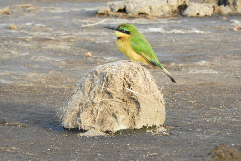 Unidad de Parque Nacional de Nairobi