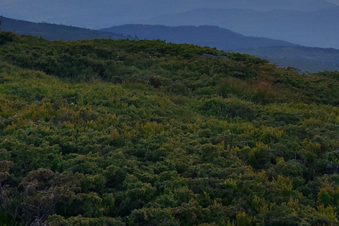 Sofia from above: Vitosha Mountain Private Hike