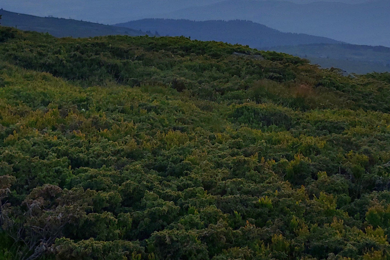 Sofia from above: Vitosha Mountain Private Hike