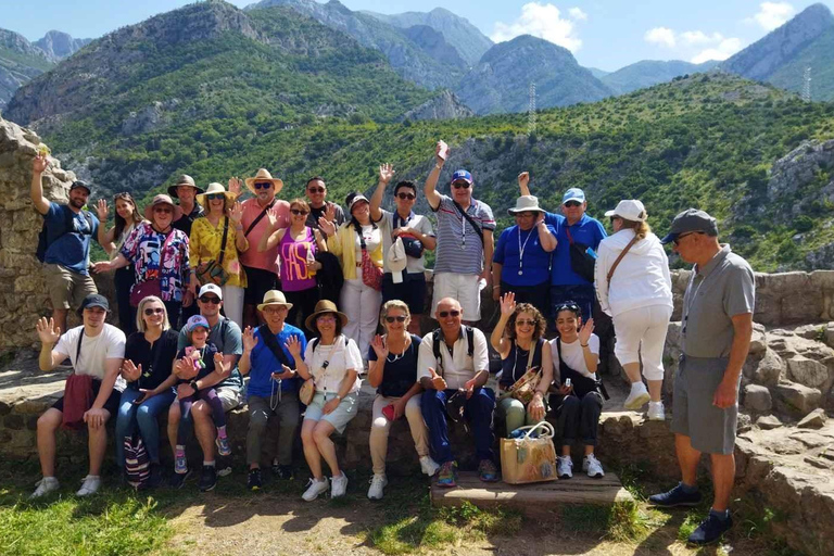 From Budva: Old Olive Tree Park and Olive Oil Tasting in Bar
