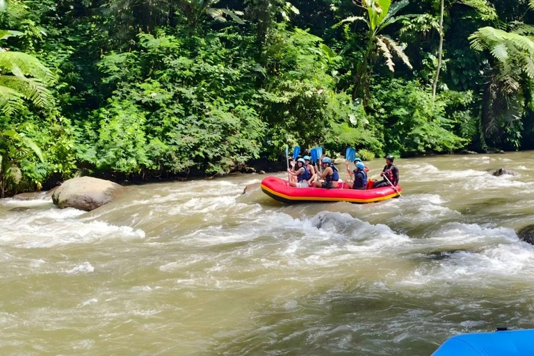 巴厘岛乌布探险一日游：全地形车、漂流和阿拉斯秋千