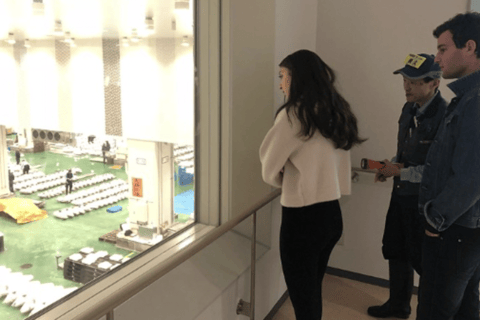 Toyosu Fish Auction and Tsukiji Market with Sushi Tasting