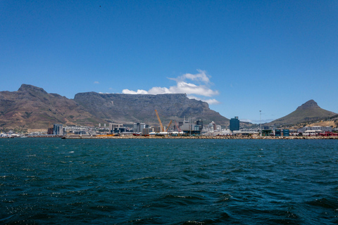 Cape Town: Robben Island Ticket With Ferry Check-in Help