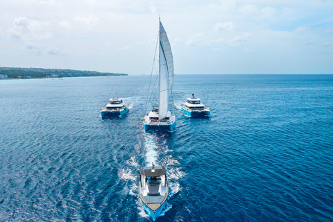 Half-Day Luxury Catamaran Cruise - Turtles, Wreck & Buffet