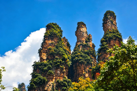 Wulingyuan: Avatar Mountains & Tianzishan In-Depth Day Trip Small Group: Tickets not Included