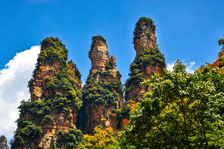 Wulingyuan: Avatar Mountains & Tianzishan In-Depth Day Trip Small Group: Tickets not Included