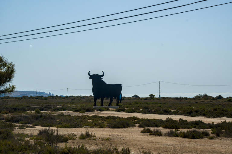 Village Street Market: Santa Pola