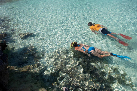 Salalah: Ontdek het snorkelparadijs van Mirbat met een rondleiding