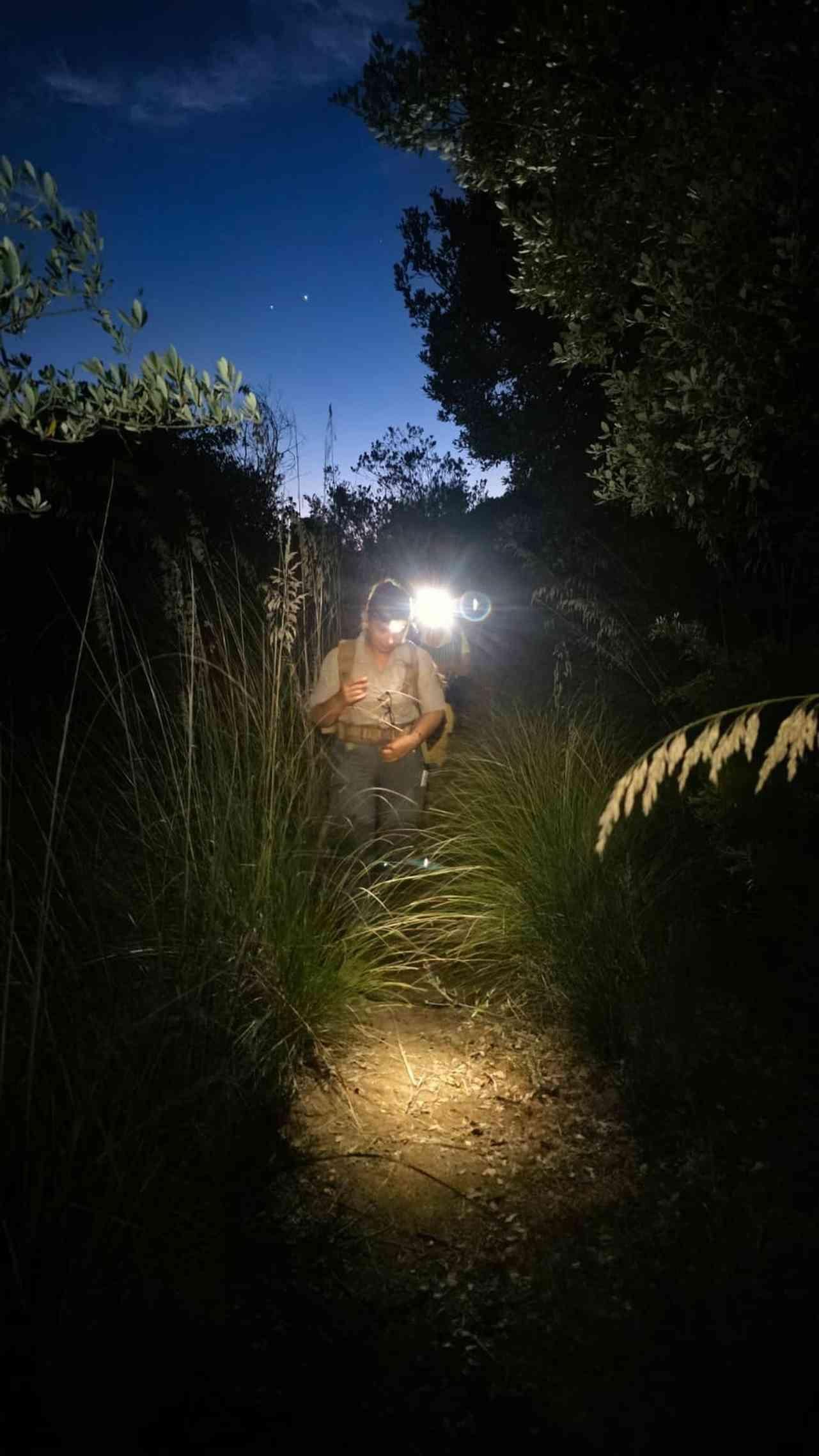 Capalbio: Nächtlicher Naturrundgang unter den Sternen