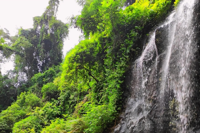 Ubud: Kanto Lampo Waterfalls, Jungle Swing, Rice Terrace Private Tour without Entry Tickets