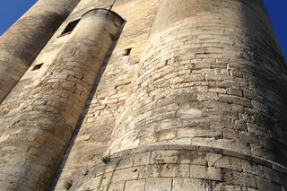 Fietstocht met gids door Niort, aan de poort van het Marais Poitevin