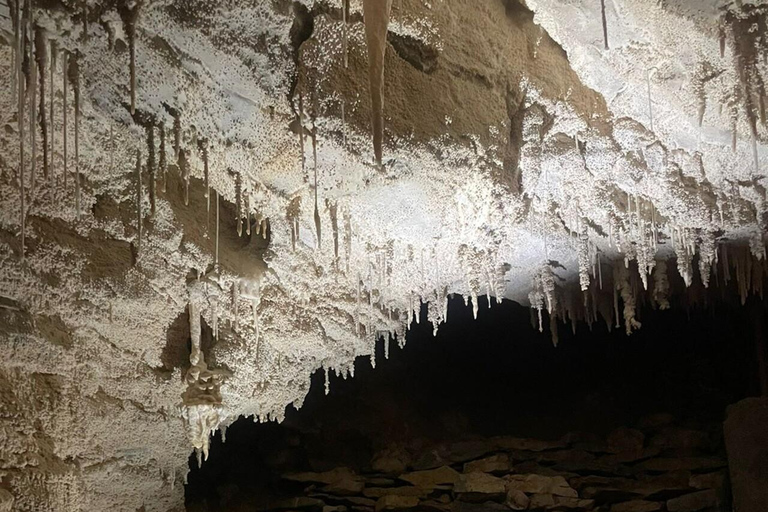 From Auckland: Waitomo Caves and Kiwi House Group Tour