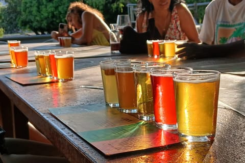 Beer Tasting and Spice route Capetown Day Tour