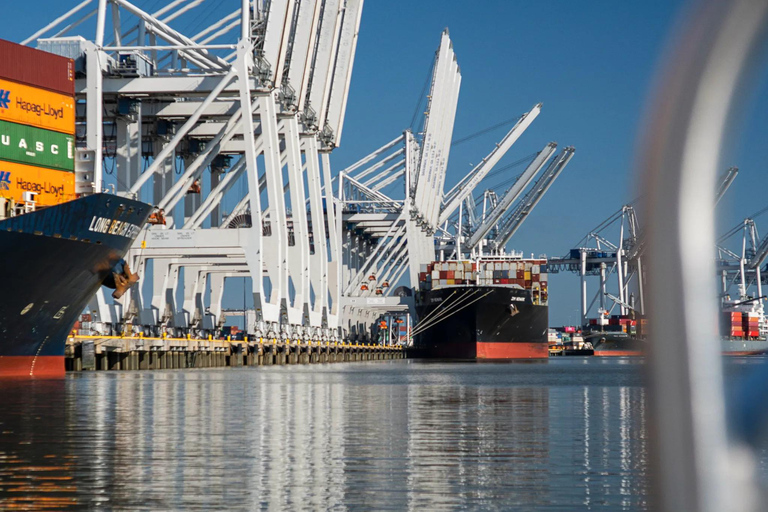 Savannah : visite informative du port en 90 minutes