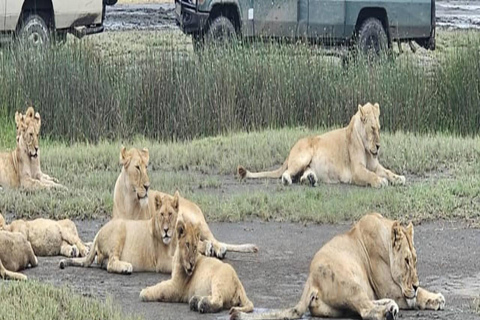 12 Days Tanzania Adventure: Safari, Culture &amp; Mountains