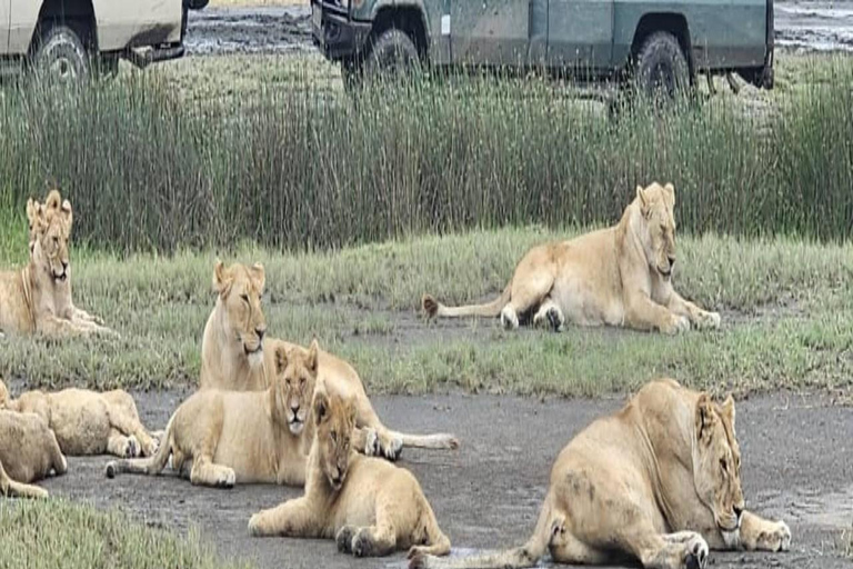 12 Days Tanzania Adventure: Safari, Culture &amp; Mountains