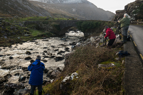 Killarney: The Ring of the Reeks - Backroads Rural Tour Killarney: Ring of the Reeks Photo Tour