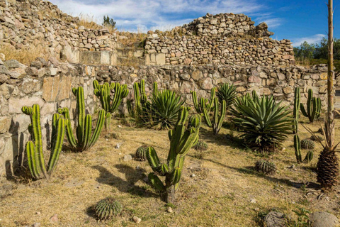 Oaxaca: tour privado a Mitla con degustación de chocolate en coche