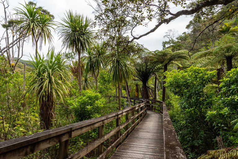 Gran Barrera: Remojo y Paseo Privado por las Aguas Termales de Kaitoke