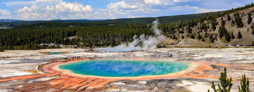 Les merveilles de Yellowstone : visite privée de la boucle inférieure avec déjeuner