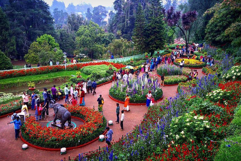 From Bangalore: Majestic Ooty Hill Station Tour 2N/3D