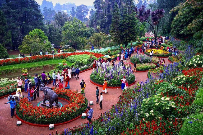From Bangalore: Majestic Ooty Hill Station Tour 2N/3D