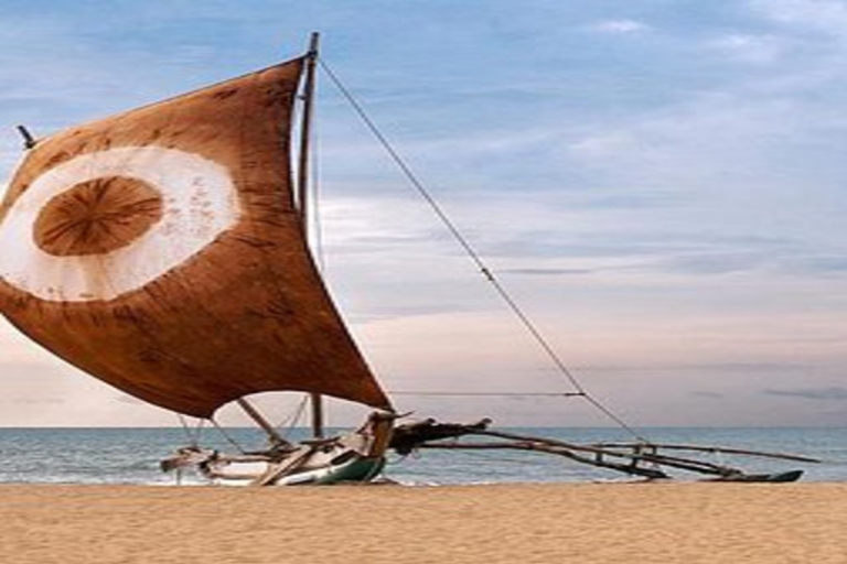 Promenade en catamaran traditionnel avec visite de la ville de Negombo